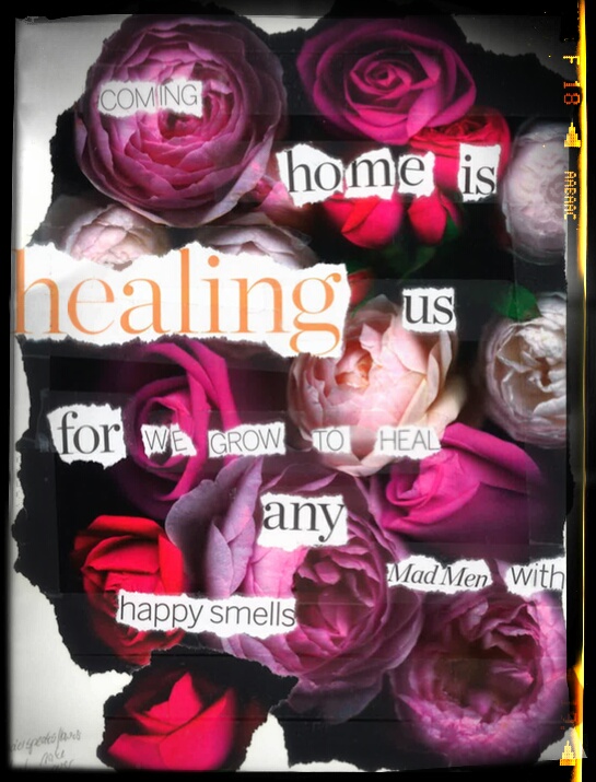 (C) Nathalie Sheridan