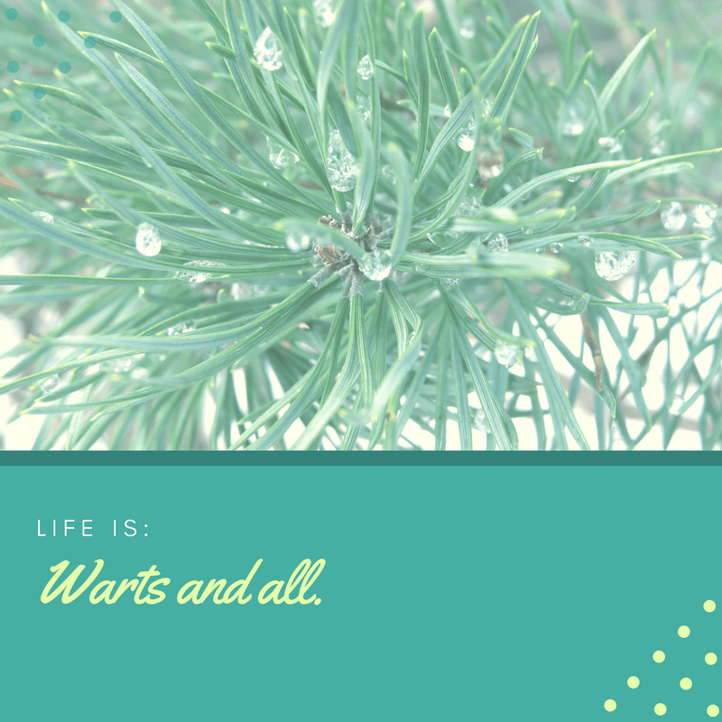 (c) Nathalie Sheridan