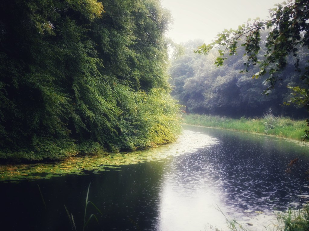Rain drops on the canal. Trees heavy with rain lined along the sides