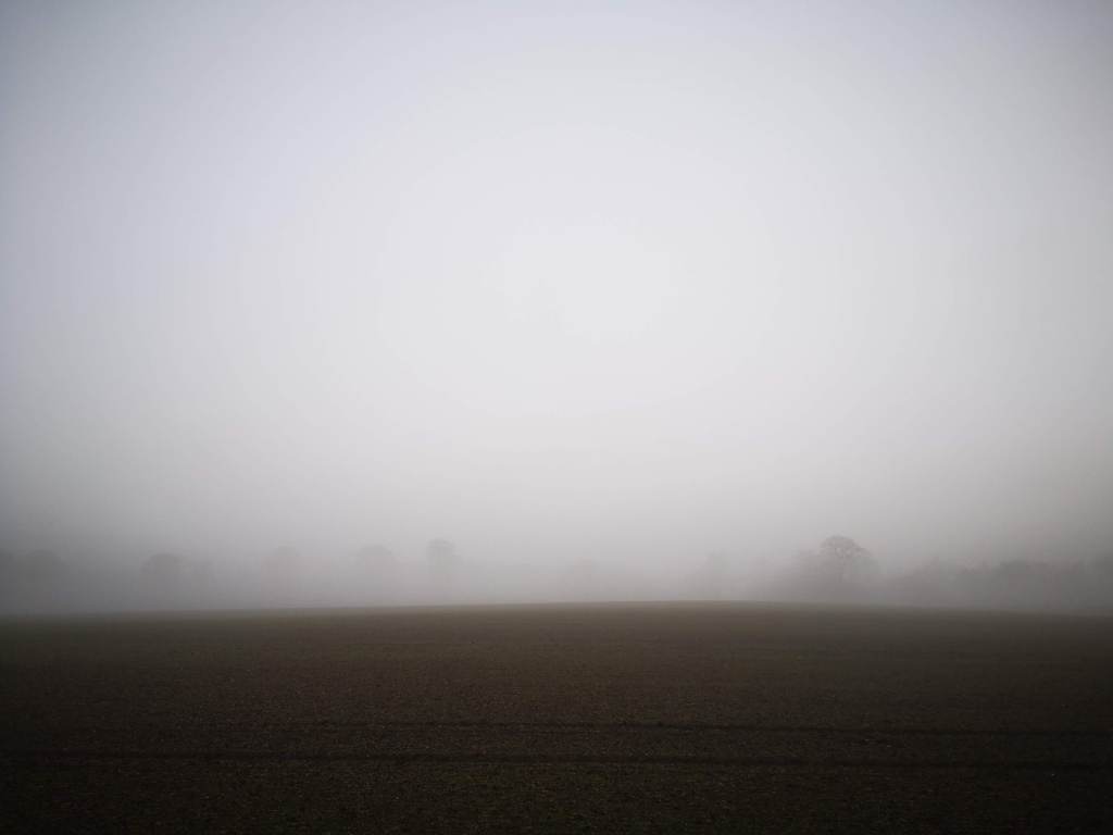 This photo is literally described in the poem. Dull day a field with trees barely visible through the fog on the horizon. Only the buzzards are missing here